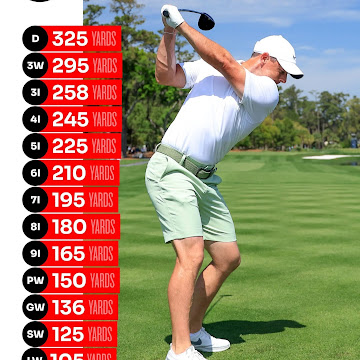 Profile photo of Freed Weng