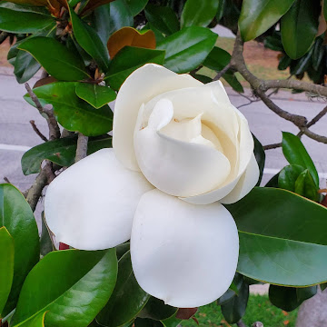 Profile photo of eastward