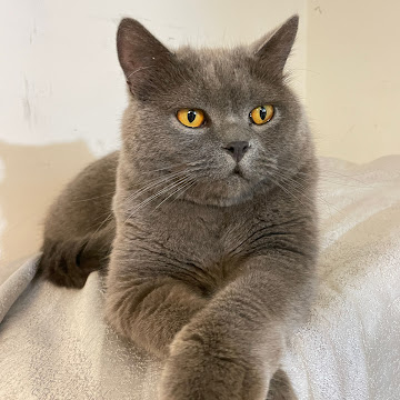 Profile photo of iz