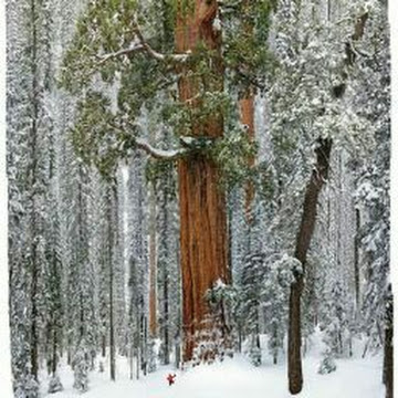 Profile photo of sunnyday