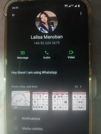 20251023_054117_044239